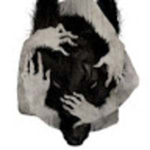 Meet your Posher, Aurora